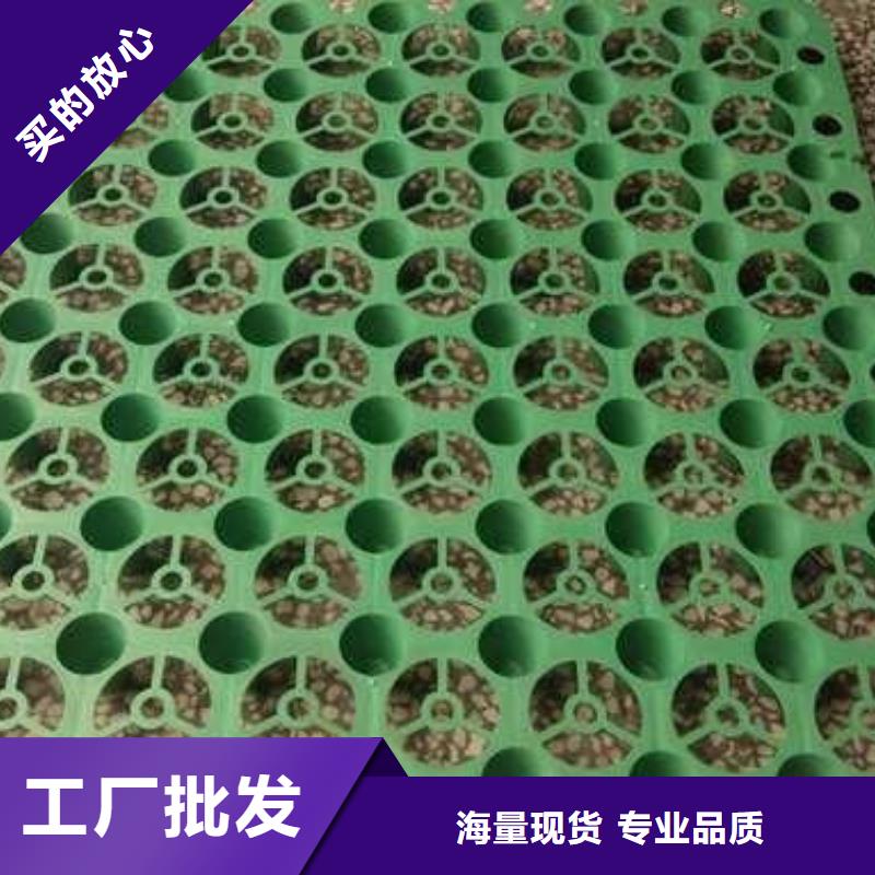 排水板塑料盲沟实力厂商本地生产商