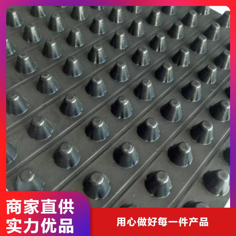 排水板聚乙烯土工膜源头厂家工厂批发
