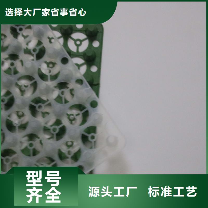 排水板加筋布实力雄厚品质保障口碑好实力强