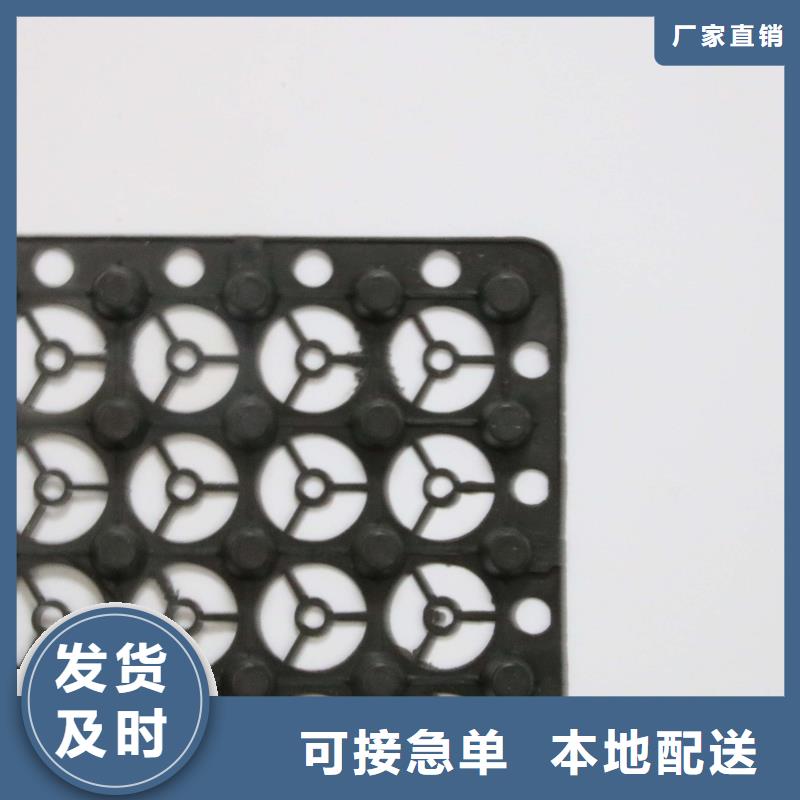 排水板【三维土工网垫】拒绝伪劣产品当地生产商