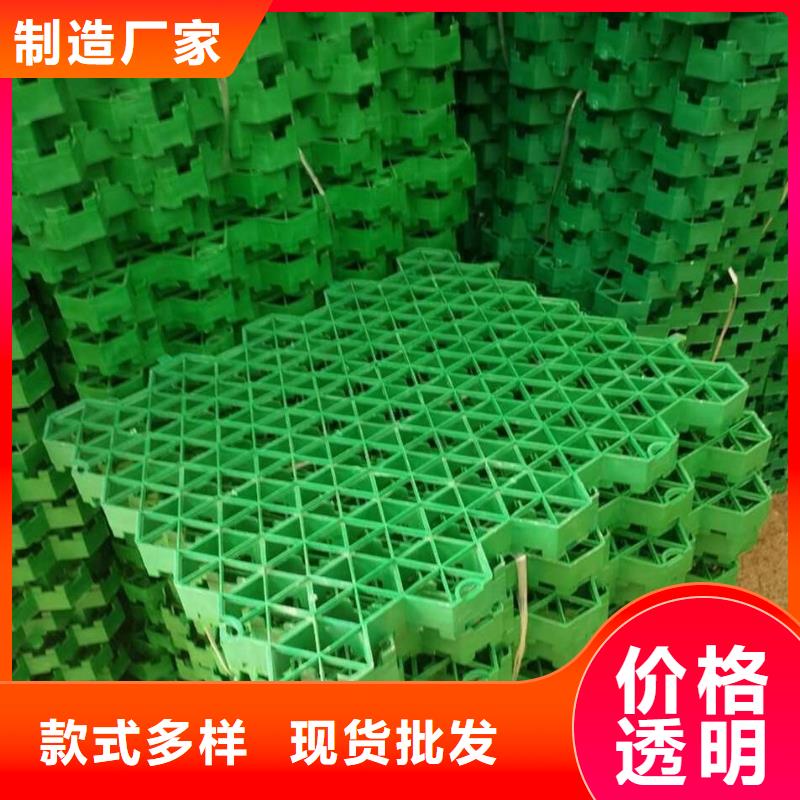 植草格,单向塑料土工格栅多行业适用同城供应商