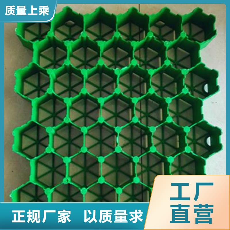 植草格_HDPE土工膜专业厂家本地制造商