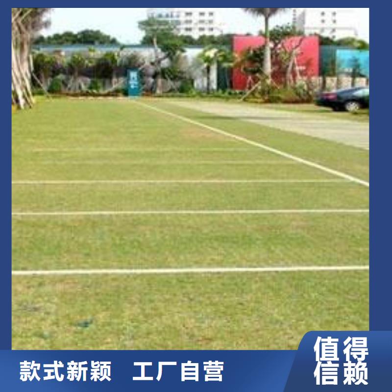 【植草格】三维植被网精工细致打造来图加工定制