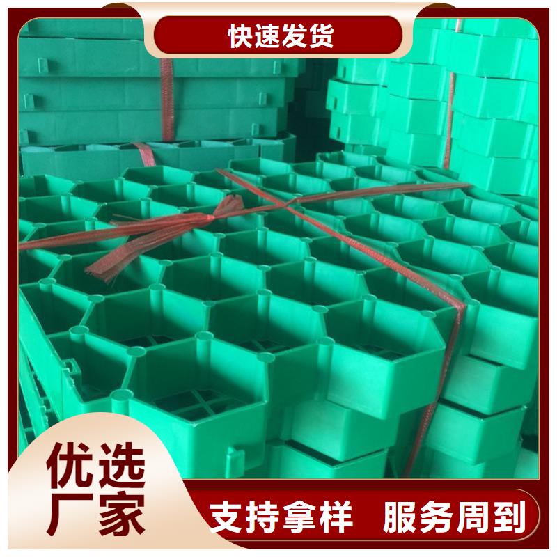 植草格【防渗膜】大量现货供应常年出售