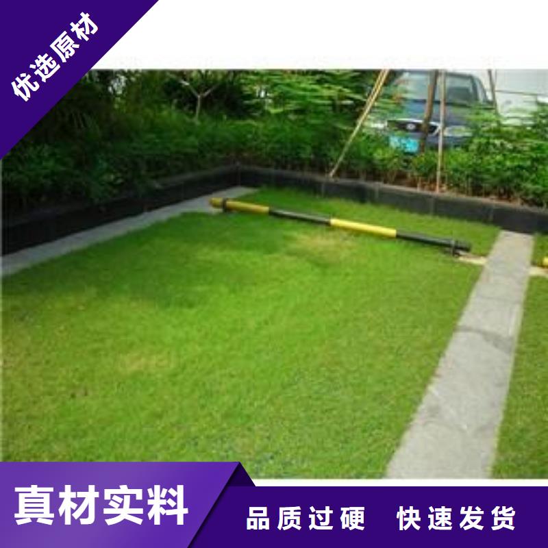 植草格-蜂巢格室专业生产厂家当地生产商