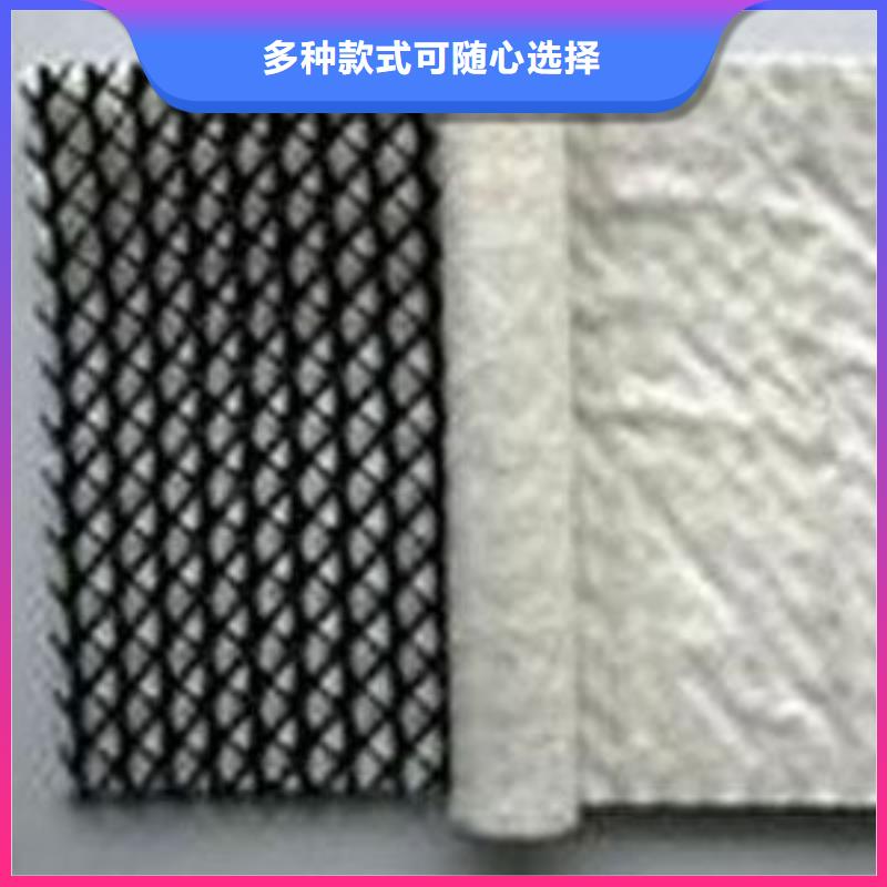 【三维复合排水网】,城建土工膜专业生产N年贴心服务