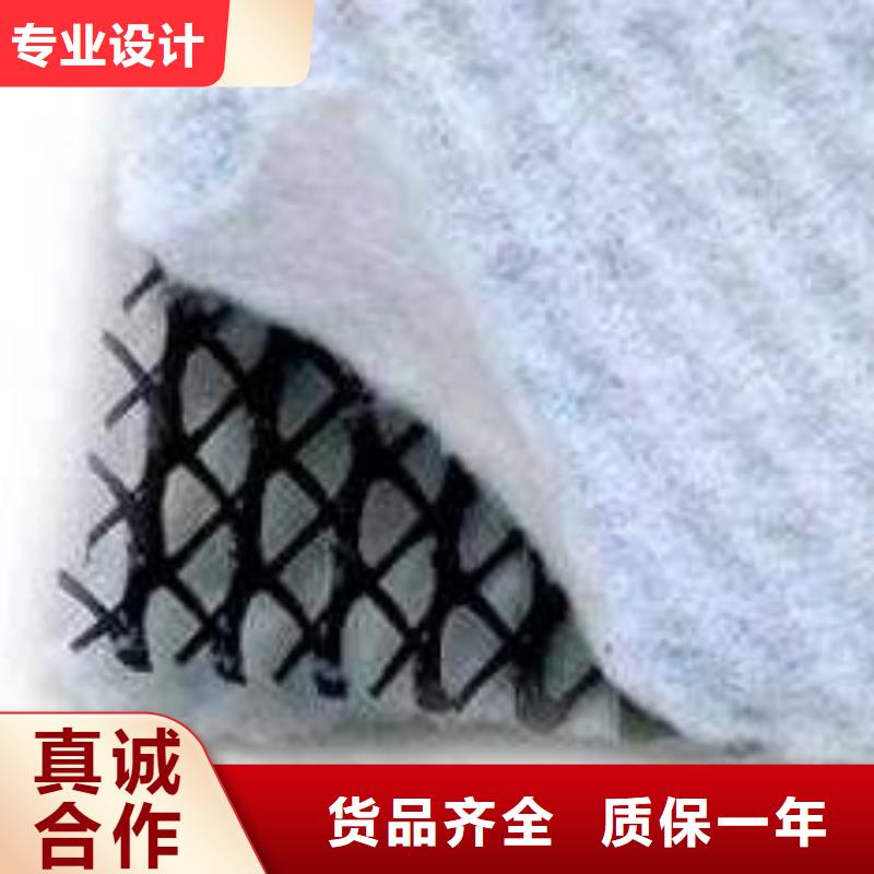 三维复合排水网三维植被网按需定制现货交易