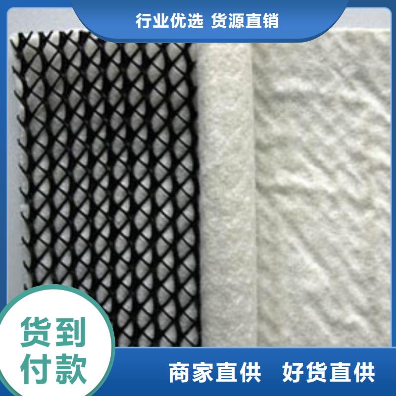 三维复合排水网双向塑料土工格栅一站式采购方便省心工期短发货快
