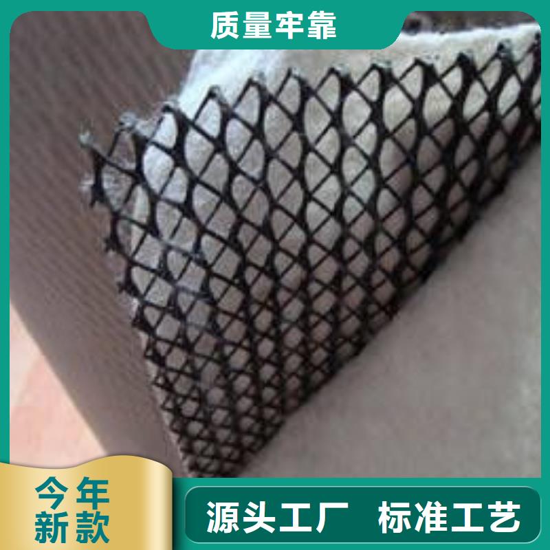 【三维复合排水网】塑料土工滤网品牌专营工期短发货快