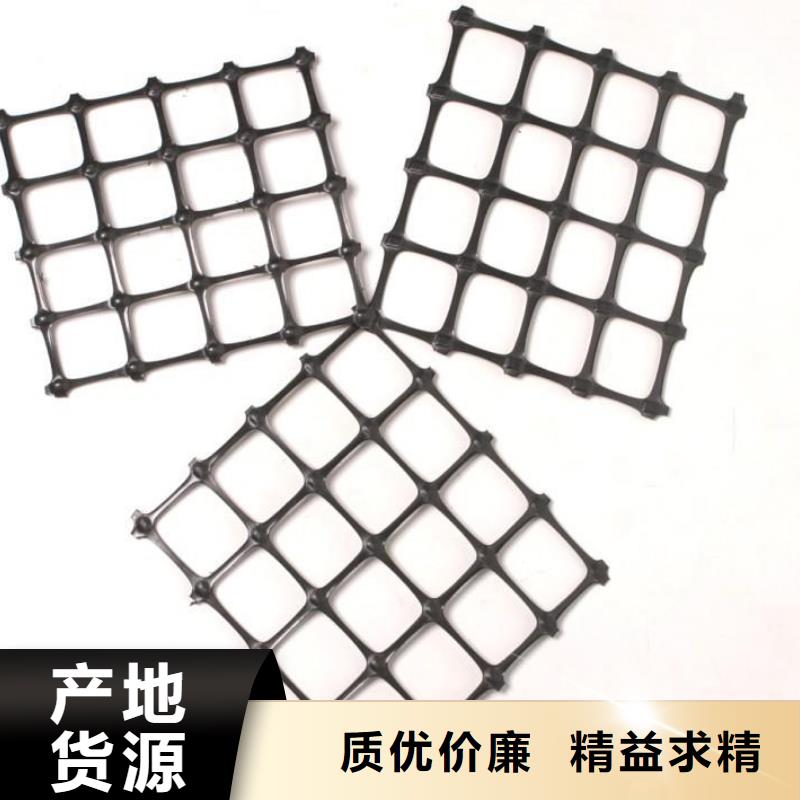 【塑料土工格栅】土工HDPE膜多种款式可随心选择同城生产厂家