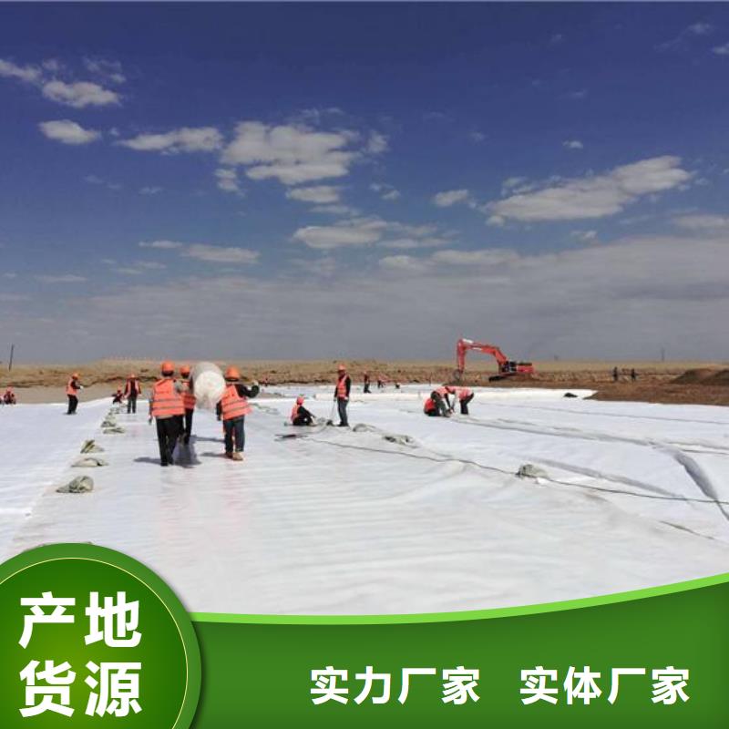 土工布透水土工布厂家直销规格多样当地厂家