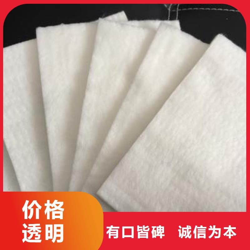 土工布,涤纶土工格栅厂家工艺先进产地批发