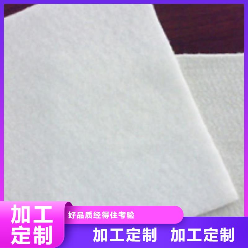 土工布塑料土工格栅一站式采购方便省心当地供应商