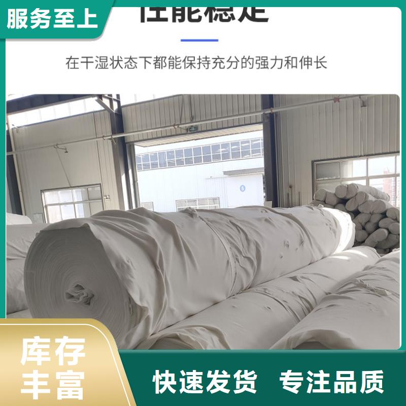 土工布-工程布细节之处更加用心同城生产厂家