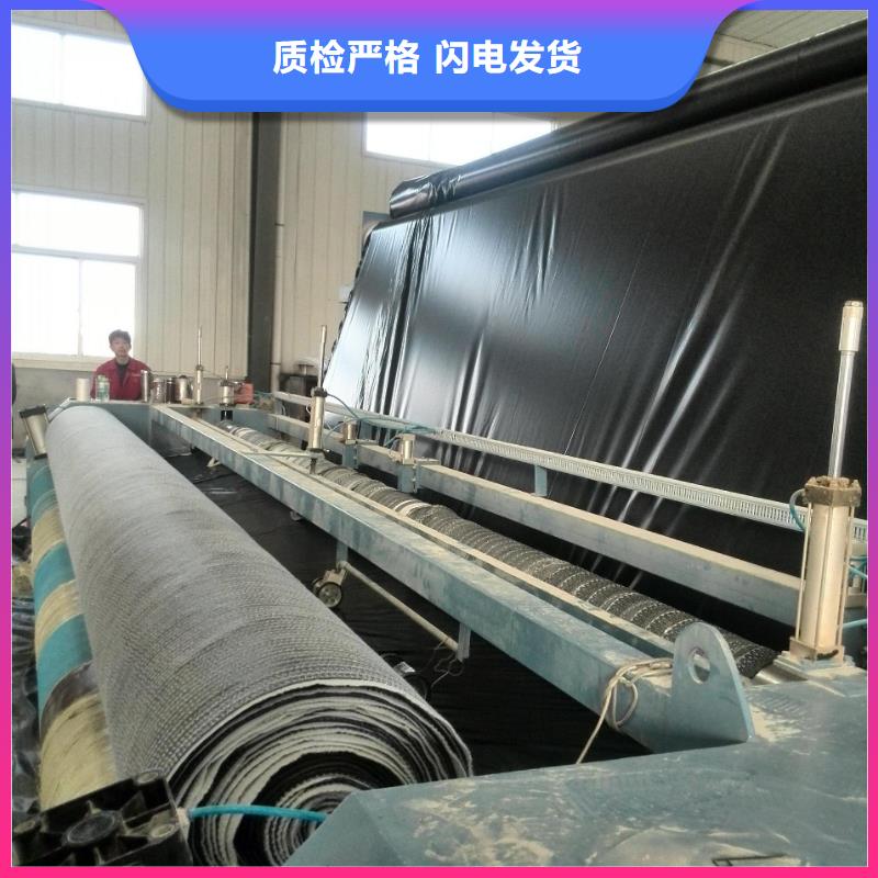 膨润土防水毯-涤纶土工格栅用品质说话同城生产商