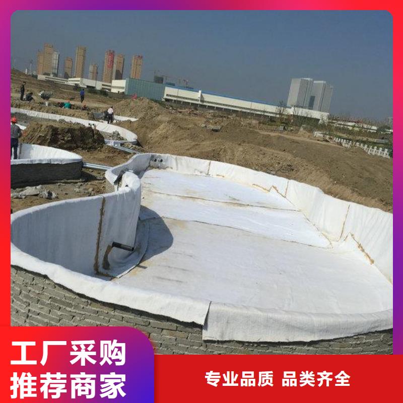 膨润土防水毯钢塑土工格栅拒绝中间商型号全价格低