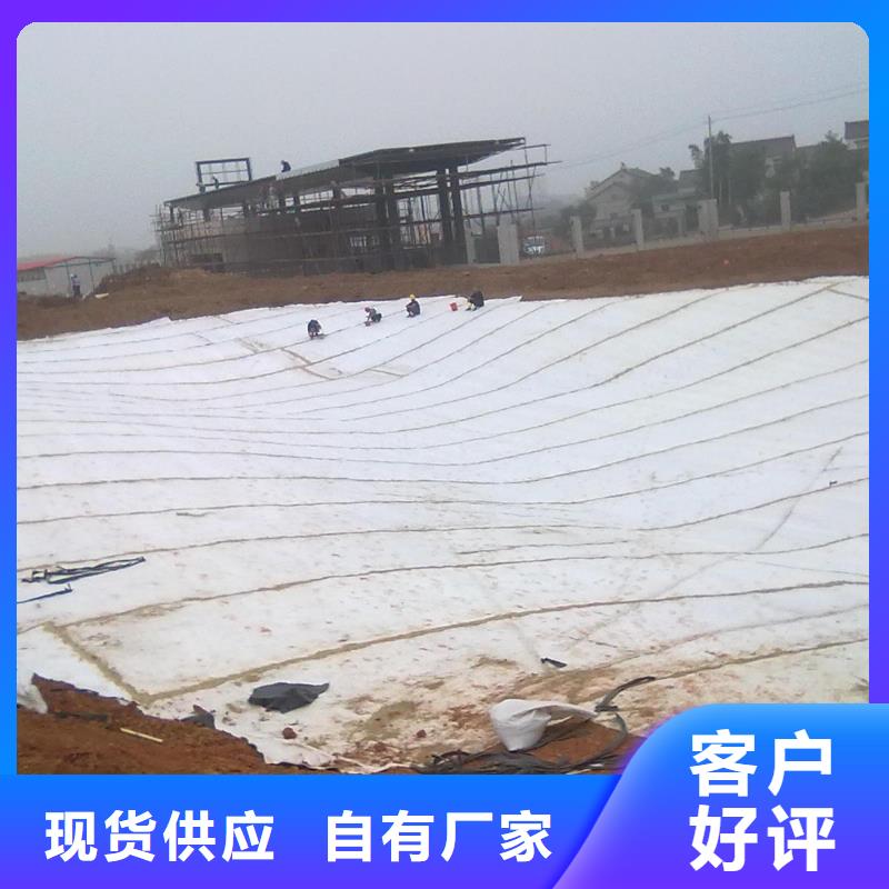 膨润土防水毯短丝土工布交货准时同城货源