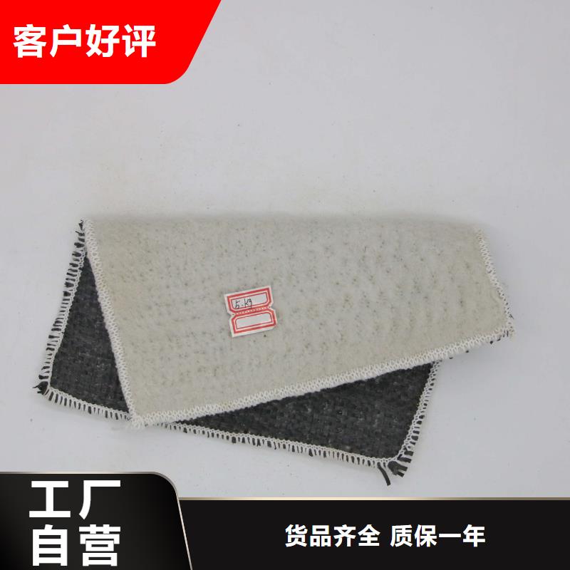 膨润土防水毯钢塑土工格栅品质值得信赖同城货源