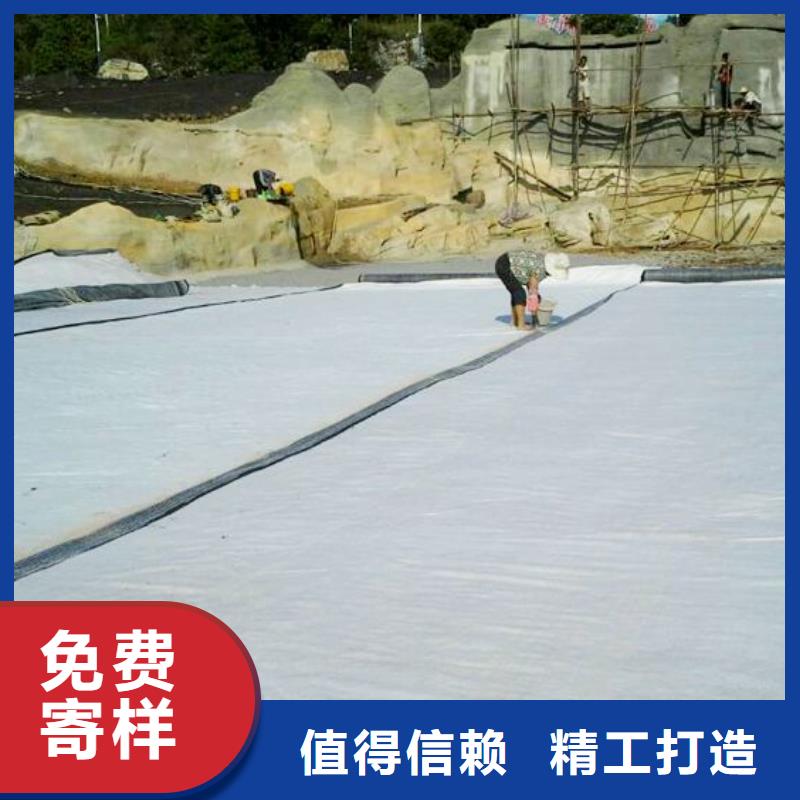 膨润土防水毯长丝土工布自产自销质保一年