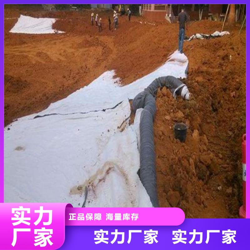膨润土防水毯防渗土工膜细节展示实体厂家支持定制