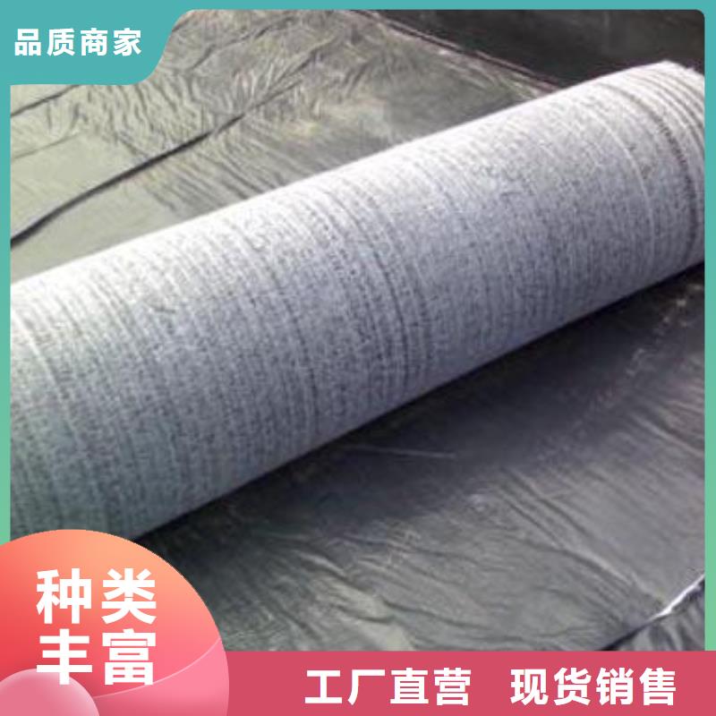 膨润土防水毯复合土工膜精致工艺工艺精细质保长久