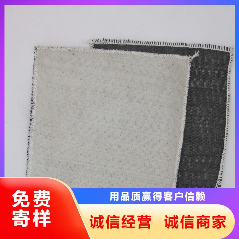 膨润土防水毯单向塑料土工格栅质量层层把关同城生产商
