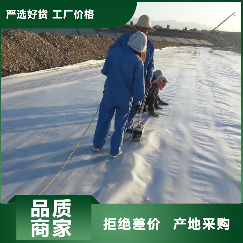 【土工膜】钢塑土工格栅支持批发零售产地工厂