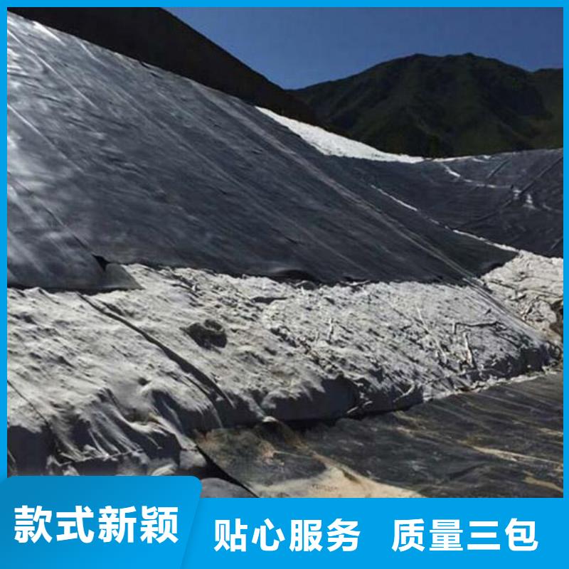 土工膜加筋布厂家直销工艺成熟