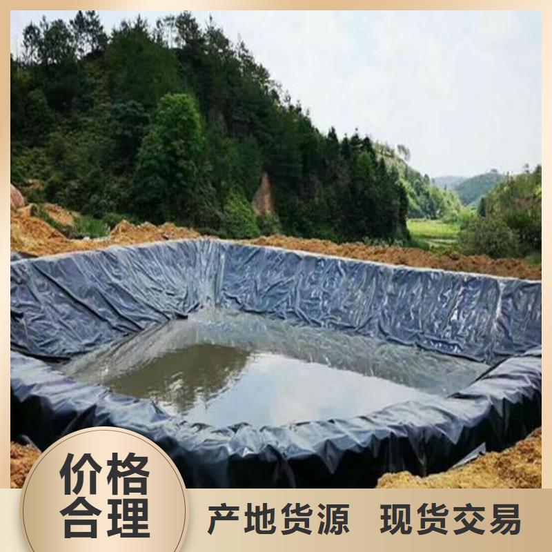 土工膜-塑料土工格栅免费寄样当地厂家