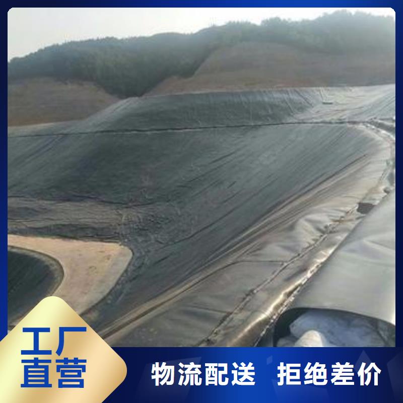 土工膜【钢塑土工格栅】欢迎来电询价当地服务商