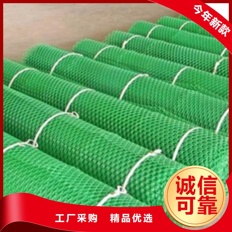 【三维植被网】复合土工膜厂家规格全同城货源