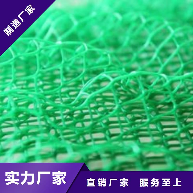 三维植被网,护坡土工网规格型号全性能稳定