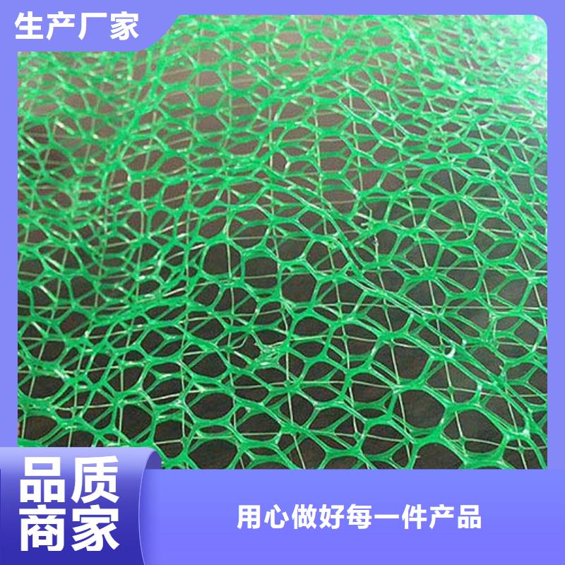 三维植被网塑料土工格栅免费询价本地货源