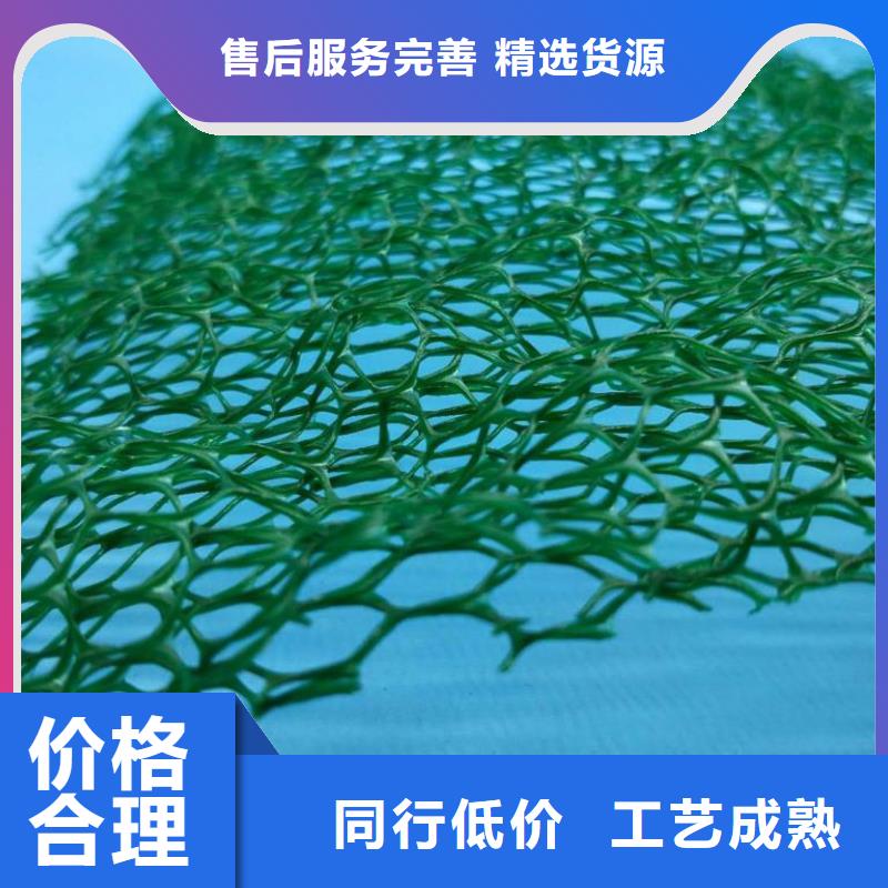 三维植被网塑料土工格栅好产品好服务热销产品