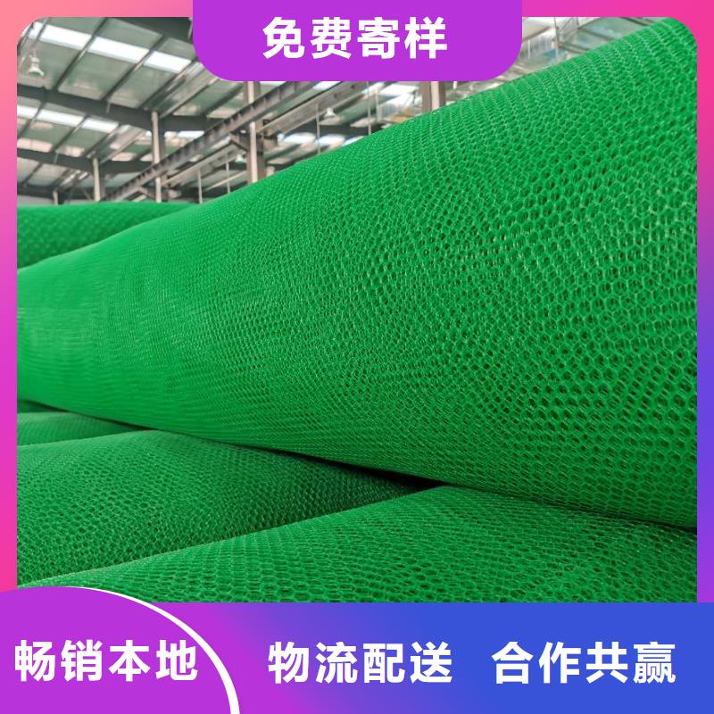 三维植被网涤纶土工格栅专业生产品质保证源头工厂