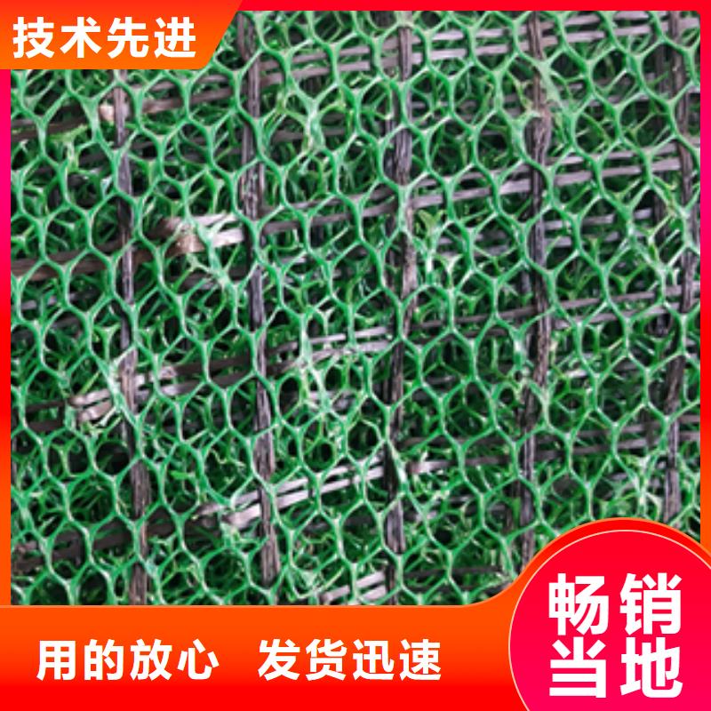 三维植被网复合土工膜精挑细选好货同城生产商