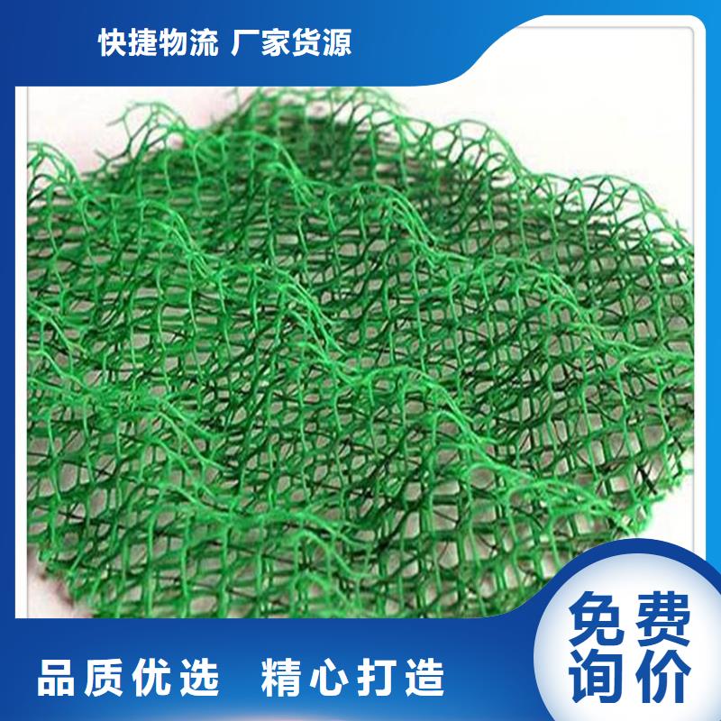 三维植被网_防水土工布免费回电当地生产商