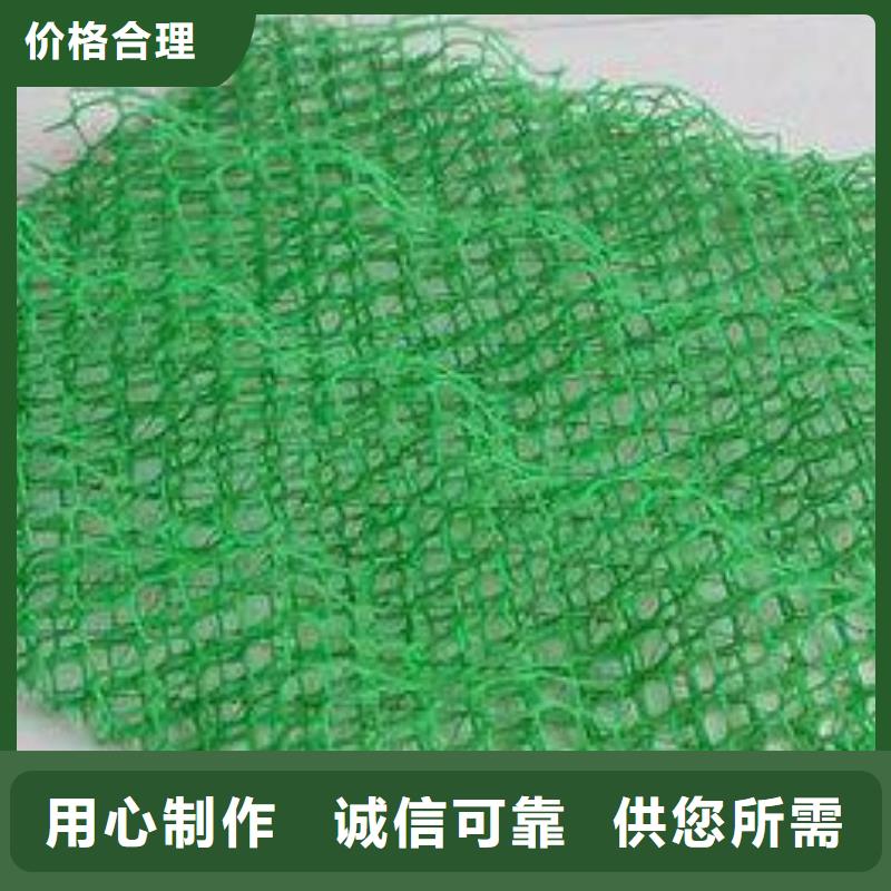 三维植被网,钢塑土工格栅保障产品质量当地服务商