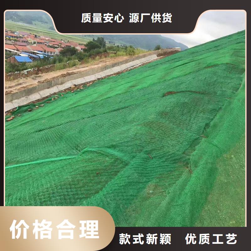 三维植被网【双向塑料土工格栅】丰富的行业经验买的放心安兴用的舒心