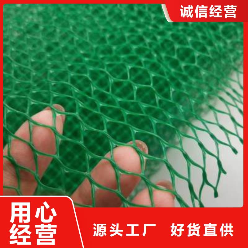 三维植被网玻纤土工格栅厂家直销货源充足同城品牌