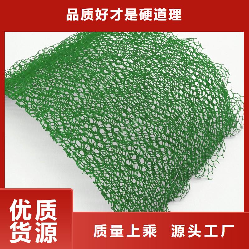 【三维植被网玻纤土工格栅畅销本地】源头工厂