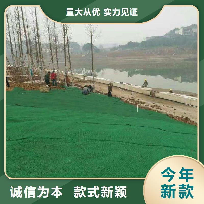 【三维植被网_反滤土工布匠心工艺】本地厂家