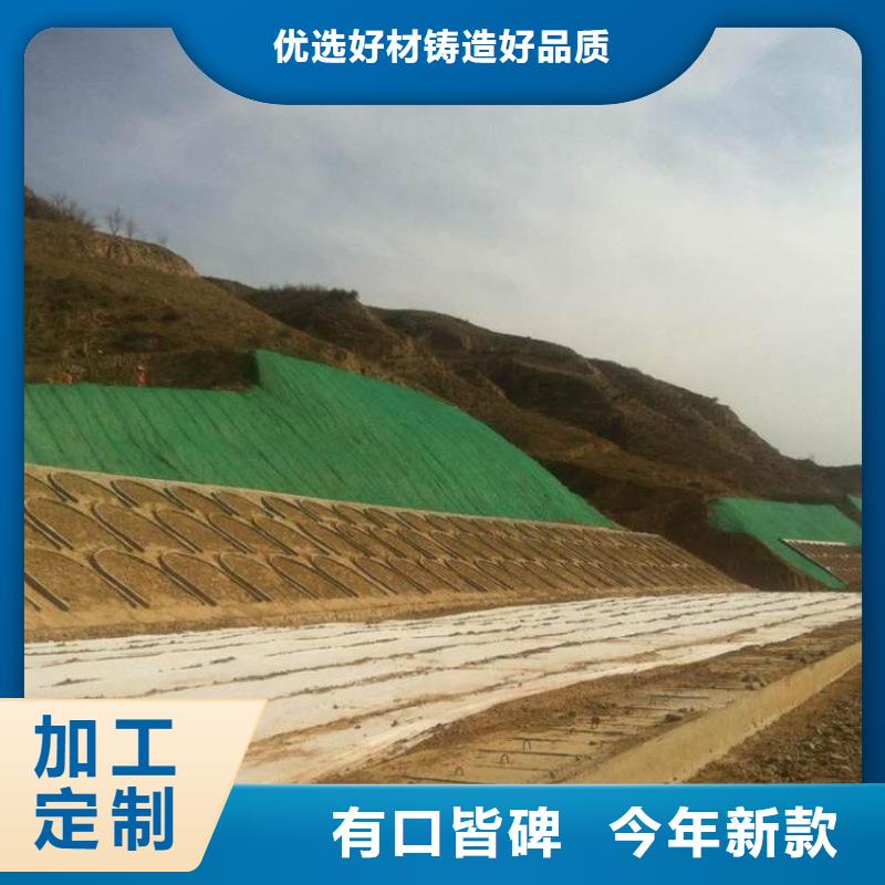 三维植被网塑料排水板保障产品质量大厂家实力看得见