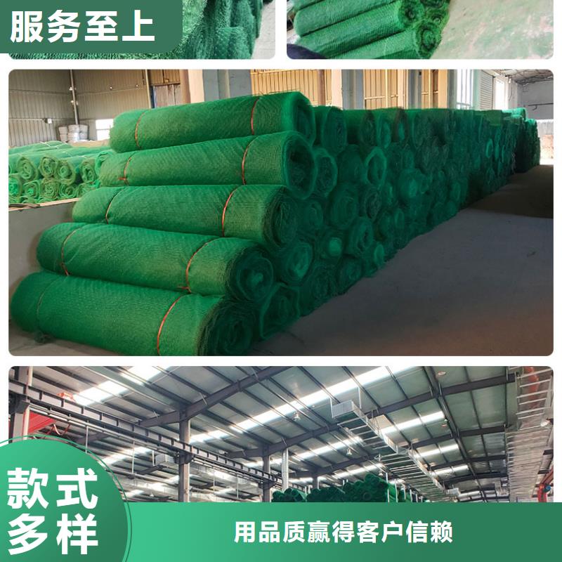 三维植被网HDPE土工膜品质有保障同城生产厂家
