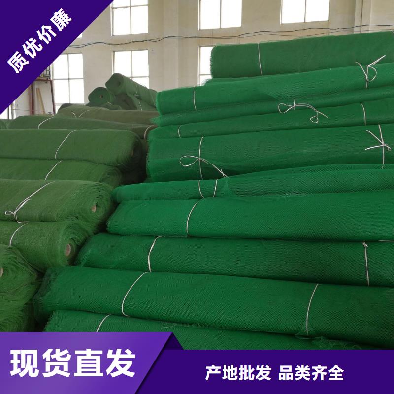 【三维植被网长丝土工布实体厂家支持定制】厂家采购