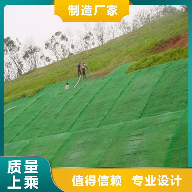 【三维植被网土工席垫多种场景适用】为品质而生产