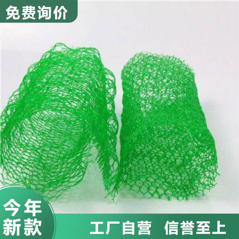 三维植被网防渗膜真实拍摄品质可靠严选材质