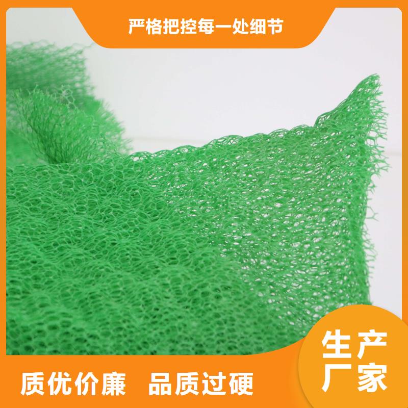 三维植被网养殖膜高品质诚信厂家自主研发