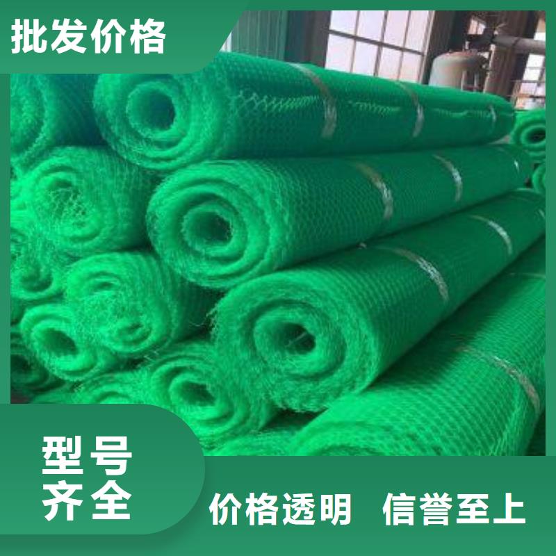 三维植被网_防水毯多种工艺货源直供