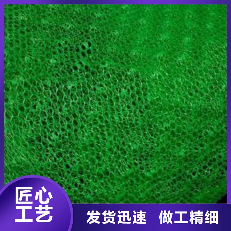 三维植被网塑料土工格栅价格实惠本地制造商